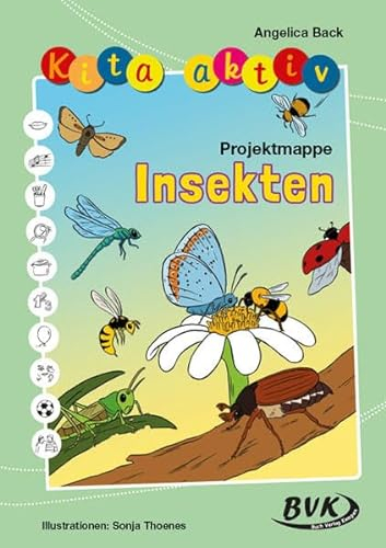 Kita aktiv Projektmappe Insekten