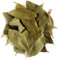Laurel Orgánico Hojas - Hojas Enteras De Lauro Calidad Culinaria - Infusión De