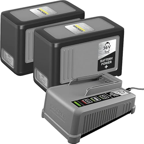 Ladegerät + 2x Akku 36V 7,5 Ah Starter Kit Battery Power+ 36/75