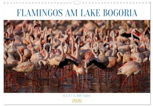 Flamingos am Lake Bogoria - Kenia (Wandkalender 2026 DIN A3 quer), CALVENDO Monatskalender: Flamingos am Lake Bogoria Rift Valley Kenia (CALVENDO Natur)