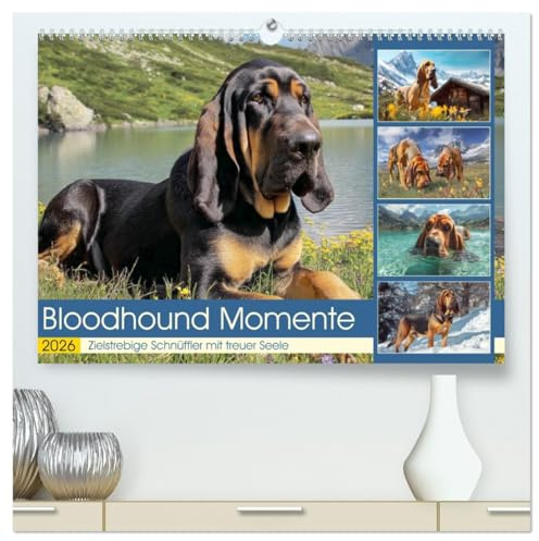 Bloodhound Momente. Zielstrebige Schnüffler mit treuer Seele (hochwertiger Premium Wandkalender 2026 DIN A2 quer), Kunstdruck in Hochglanz: Tolle ... Sherlock-Nase und Grips (CALVENDO Tiere)