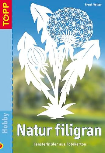 Natur filigran: Fensterbilder aus Fotokarton