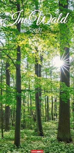 Im Wald Kalender 2027: Die heimischen Wälder in faszinierenden Fotos dargestellt in einem XL Kalender. Bäume und Co. in einem länglichen Kalender. 33 x 68 cm Hochformat