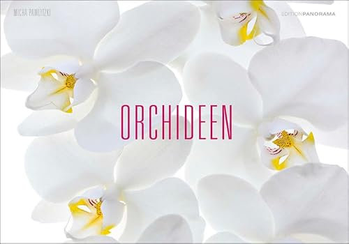 Orchideen: Immerwährender Kalender im Großformat 1 Meter x 70 cm