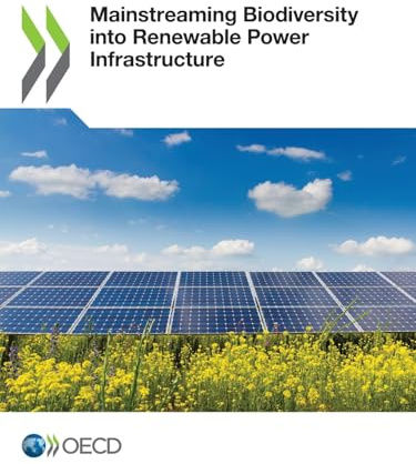 Mainstreaming Biodiversity into Renewable Power Infrastructure