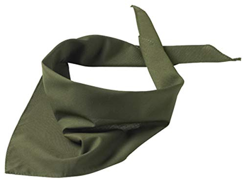 Druckecke Hundehalstuch mit Pfoten und Wunschname Bestickt | 18 Farben (Olivgrün)