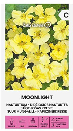 Zalia stotele | KAPUZINERKRESSE - MOONLIGHT samen | Blumensamen | Pflanze samen | Gardensamen | 1 Pack