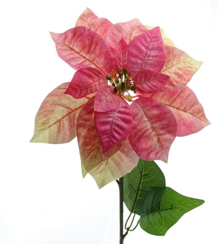 Gasper Weihnachtssternblüte Poinsettie Creme & Rosa 65 cm - Kunstblumen