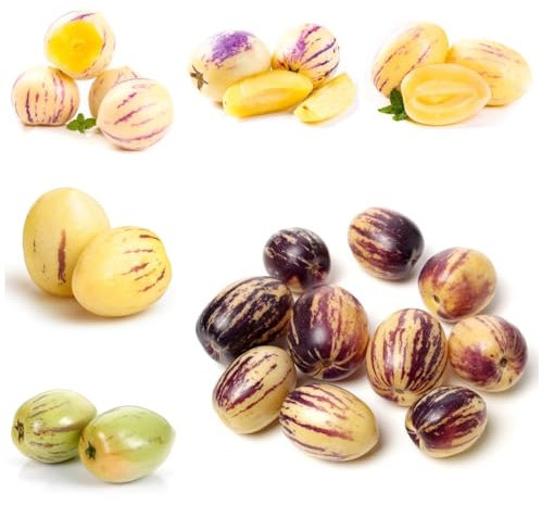 200 Pcs Birnenmelone Pflanze Samen, Pepino Melon, Winterfeste Pflanzen Für Balkon, Deko Obst Melonenbirne Samen - Solanum Muricatum - Gartendeko Für Draußen, Obst Samen Gartenpflanzen