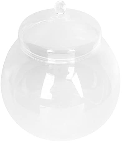 GANAZONO 1set Bottiglia Ecologica Per Microlandscape Con Coperchio Contenitore Decorativo Per Piante E Terrari Vaso Trasparente Per Decorazioni Creative Stile Coperchio Casuale