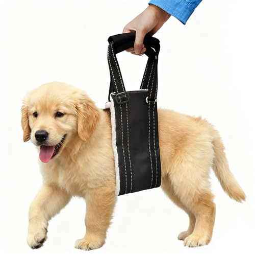 LUPATDY Aide au transport pour chien, aide à la marche réglable et sangle de rééducation pour différentes tailles, soutien de sécurité pour handicapés, blessés ou chiens âgés, taille L