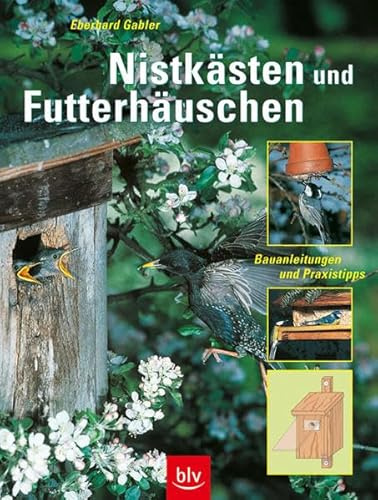 Nistkästen und Futterhäuschen: Bauanleitungen und Praxistipps