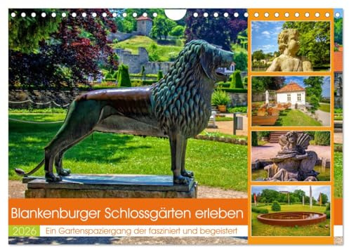 Blankenburger Schlossgärten erleben (Wandkalender 2026 DIN A4 quer), CALVENDO Monatskalender: Zu Besuch in einer Gartenlandschaft voller Schönheit und Harmonie (CALVENDO Orte)