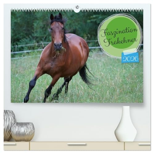 Faszination Trakehner (hochwertiger Premium Wandkalender 2026 DIN A2 quer), Kunstdruck in Hochglanz: Ausgewählte Motive des braunen Trakehners Feldmeyer (CALVENDO Tiere)