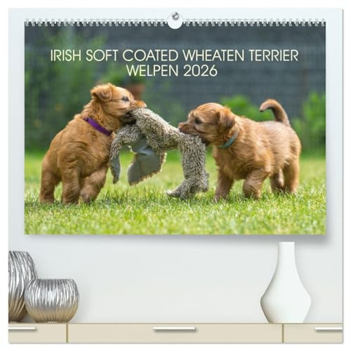 IRISH SOFT COATED WHEATEN TERRIER WELPEN 2026 (hochwertiger Premium Wandkalender 2026 DIN A2 quer), Kunstdruck in Hochglanz: Mit den blonden Iren durch's Jahr... (CALVENDO Tiere)