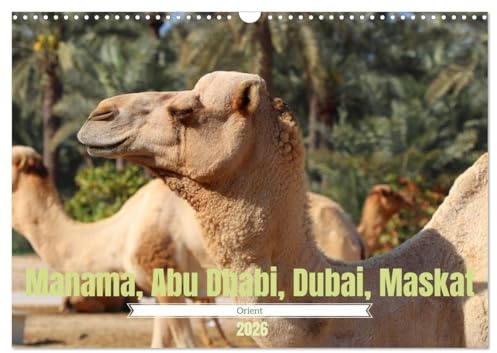 Orient - Manama, Abu Dhabi, Dubai, Maskat (Wandkalender 2026 DIN A3 quer), CALVENDO Monatskalender: Impressionen aus dem Orient (CALVENDO Orte)