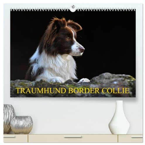 Traumhund Border Collie (hochwertiger Premium Wandkalender 2026 DIN A2 quer), Kunstdruck in Hochglanz: Der Allrounder unter den Hunderassen in 13 bezaubernden Bildern (CALVENDO Tiere)