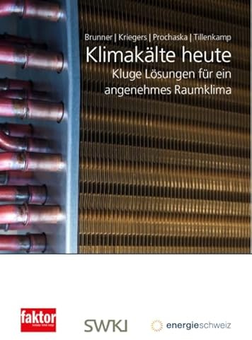 Klimakälte heute: Kluge Lösungen für ein angenehmes Raumklima (Fachbuchreihe «Nachhaltiges Bauen und Erneuern»)