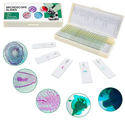 50 Prepared Microscope Slides with Specimens for Kids Students - Plants Insects Fish Animals Human Tissue Cells Samples, for Biological Science Lab, Children Education, Homeschool