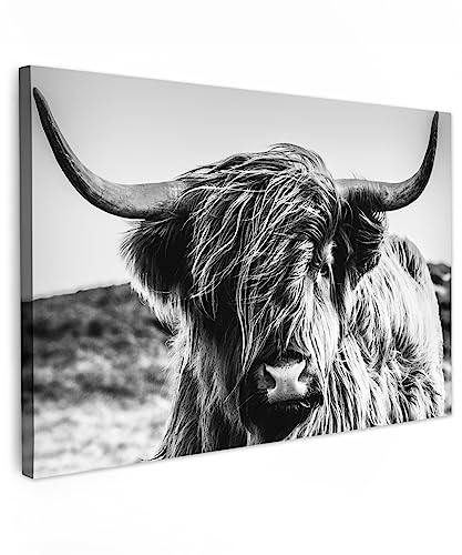 MuchoWow© Bild auf Leinwand Klein 30x20 cm Mini Schlafzimmer Bilder Schwarzweiss Wand Deko Wohnzimmer Modern Wanddeko Geschenk Kuh Leinwand - Schottisches Hochlandrind - Highland Cow - Hörner