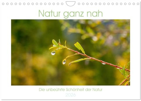 Natur hautnah Kalender (Wandkalender 2026 DIN A4 quer), CALVENDO Monatskalender: Makroaufnahmen natürlicher Motive (CALVENDO Natur)