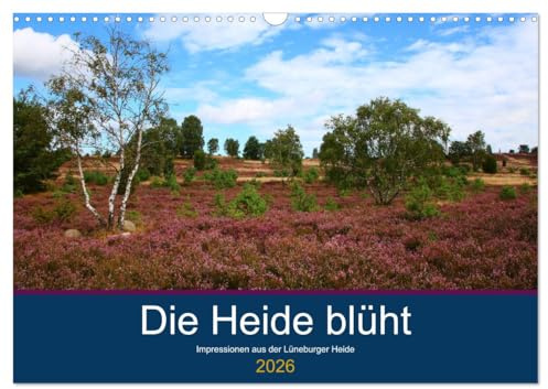 Die Heide blüht (Wandkalender 2026 DIN A3 quer), CALVENDO Monatskalender: Blühende Heidelandschaften, Schäfer mit Heidschnuckenherde und romantische Häuser (CALVENDO Orte)
