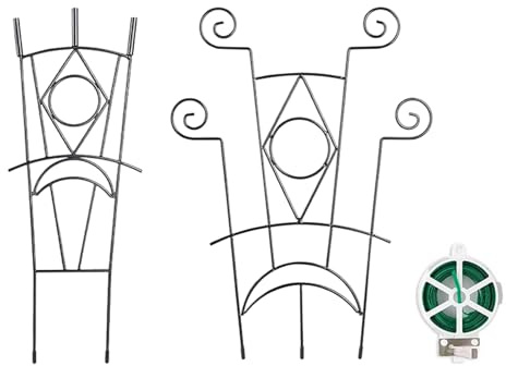 Hjatirace Zimmerpflanzen-Kletterhilfe, 2-teilige Metall-Blumenstütze, Pflanzenstütze für Kletterpflanzen, für Garten, Balkon, Terrasse, Wintergarten, Haus, Gärtner, Blumenständer