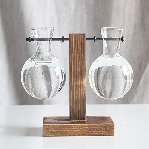 NZXVSE Terrarium pour plantes avec support en bois, vase en verre transparent avec support en bois rétro, terrarium pour plantes aquatiques d'intérieur