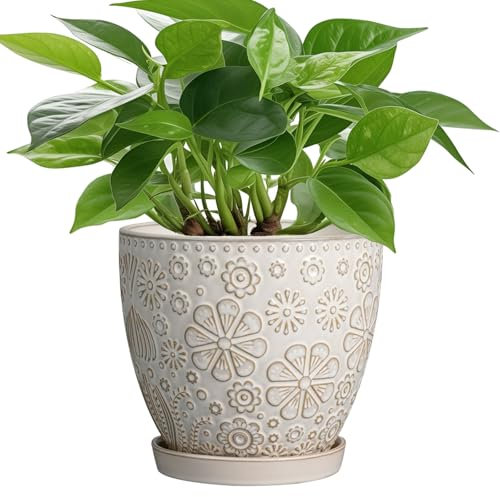 MPotTo Blumentopf mit Ablaufloch und Untersetzer, Keramik, für Zimmerpflanzen, Blumentopf für Orchideen, Sukkulenten, Weiß, 17,5 cm