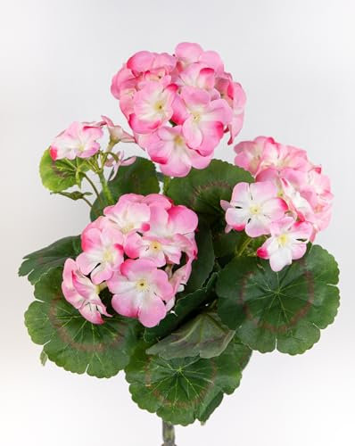 Seidenblumen Roß Geranie 32cm -ohne Topf- LM Kunstpflanzen Kunstblumen künstliche Blumen Pflanzen Pelargonium … (Rosa - 32cm)