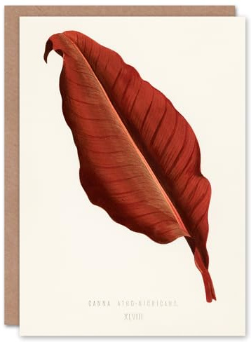 Artery8 Shirley Hibberd Art Card Canna Vintage Botany Red Leaf