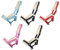 NETPROSHOP Weiches Fohlenhalfter 3-Fach Verstellbar Gepolstert Falabella Shetty Pony Full, Groesse:Fohlen Falabella, Farbe:Pink