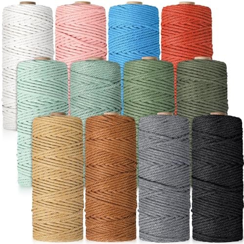 Wesnoy 12 rotoli di filo macramè, 4 mm x 600 m, spago in cotone naturale, corda colorata per macramè, corda di cotone colorata per fai da te, lavori a maglia, opere d'arte, appendere alla parete,