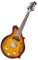 Mandolinas Instrumentos musicales Mandolina Eléctrica Cuerpo De Chapa De Arce De Caoba Diapasón De Palisandro