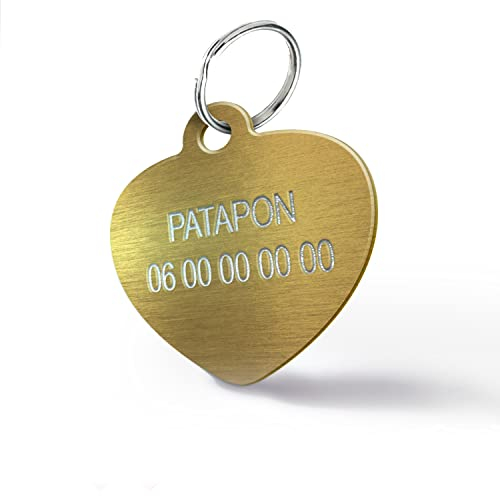 Hundemarke zur Personalisierung für Hunde und Katzen - Gravierte, Personalisierbare Medaille - 7 Farben Verfügbar (Kleines Herz-25 mm, Gold)