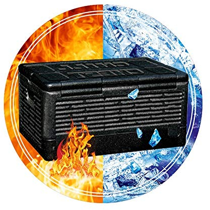 DieffematicBX Nevera Pequeña 35L portátil de tamaño del Coche Refrigerador Interior Auto Nevera Food Drink Enfriador Calentador de la Caja for el Coche Camping al Aire Libre de la Comida campestre