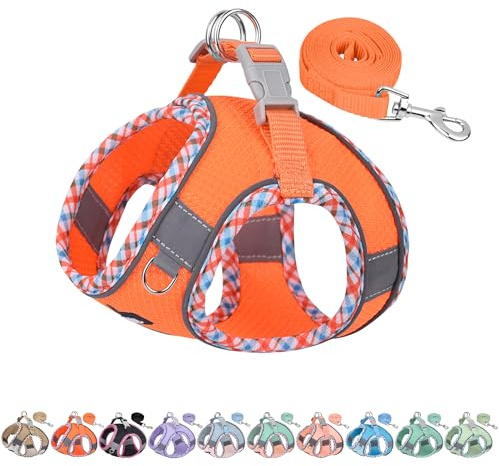 AIITLE Hundegeschirr Escape Proof, No-Pull Hundeweste mit Leine, atmungsaktives Mesh, reflektierende Streifen, einstellbare Haustier Outdoor-Geschirre Puppy Essentials für mittlere Hunde Orange M