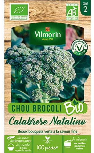 Chou Brocoli Calabrese Natalino - BIO