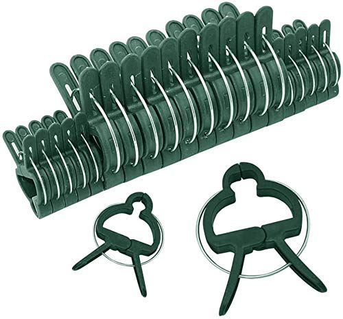 Clips para plantas, 30 clips grandes para plantas y flores para invernadero, jardinería, tallos de soporte, enredaderas, macizos de flores, plantas trepadoras verticales, 2 tamaños, 60 unidades
