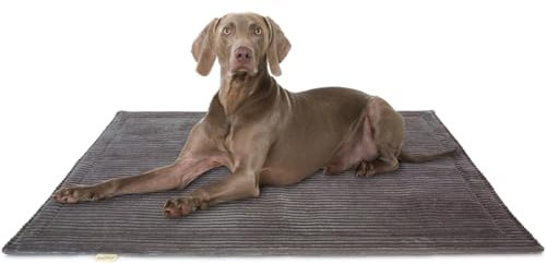 Knuffelwuff Hundedecke Timor 100x70cm Anthrazit - Bequeme und Pflegeleichte Liegedecke aus weichem Cord - waschbar - für große, mittelgroße und kleine Hunde