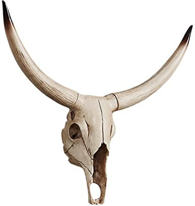 Wdfnexalai Resin Long Horned RAM Decor Skull Wall Mount Skull Decor for Home Office B 50x45x9.5 cm, Type B