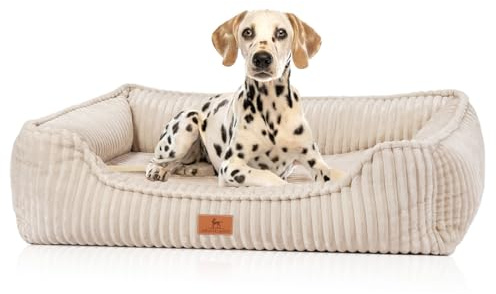 Knuffelwuff orthopädisches Hundebett aus Breitcord Sedona XL 105 x 75cm Beige | Abnehmbarer Bezug | waschbar | für große, mittelgroße und kleine Hunde