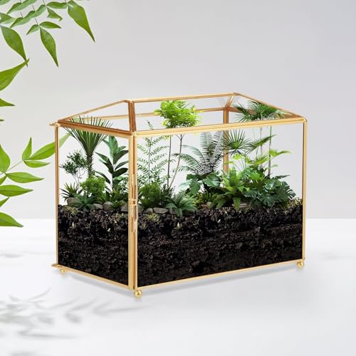 CROWNSHOP Glass Terrarium House 25 x 15 x 20 cm Glass Geometric Terrarium Cube Clear Plant Terrarium Planter for Succulent Flower Home Garden Indoor Balcony Tabletop Decor