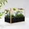 CROWNSHOP Glass Terrarium House 25 x 15 x 20 cm Glass Geometric Terrarium Cube Clear Plant Terrarium Planter for Succulent Flower Home Garden Indoor Balcony Tabletop Decor