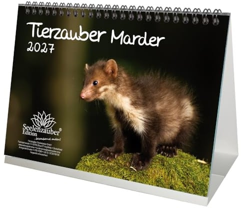 Tierzauber Marder DIN A5 Tischkalender für 2027 Wald Natur Baum - Seelenzauber