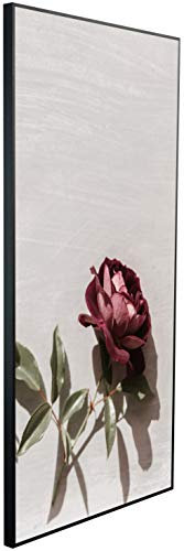 Ecowelle Infrarotheizung mit Bild | 750 Watt | 60x120 cm | Infrarot Heizung| | Made in Germany| a 85 Garden Roses