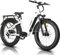 HAOQI Elektrofahrrad für Erwachsene, 250W bürstenloser Motor Mountainbike mit 48V 20AH herausnehmbarem Akku,26 x 4.0 Fat Tire Ebike, Elektrofahrrad mit 7 Gängen bis zu 25 km/h