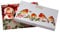 Watercolor Robin Christmas Baubles Tree Ornaments - In Gift Box - Pack of 6