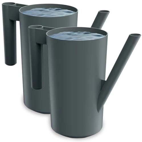 PECZEKO Arrosoir de 2 l pour la maison et le jardin - En plastique robuste - Arrosoir pour arroser facilement les fleurs, les plantes et les plantes d'intérieur - Lot de 2 (2 pièces) - Noir