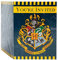 Unique 8 Harry Potter Einladungskarten